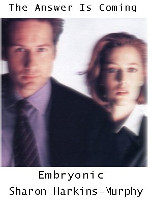 Embryonic by Sharon H-M
